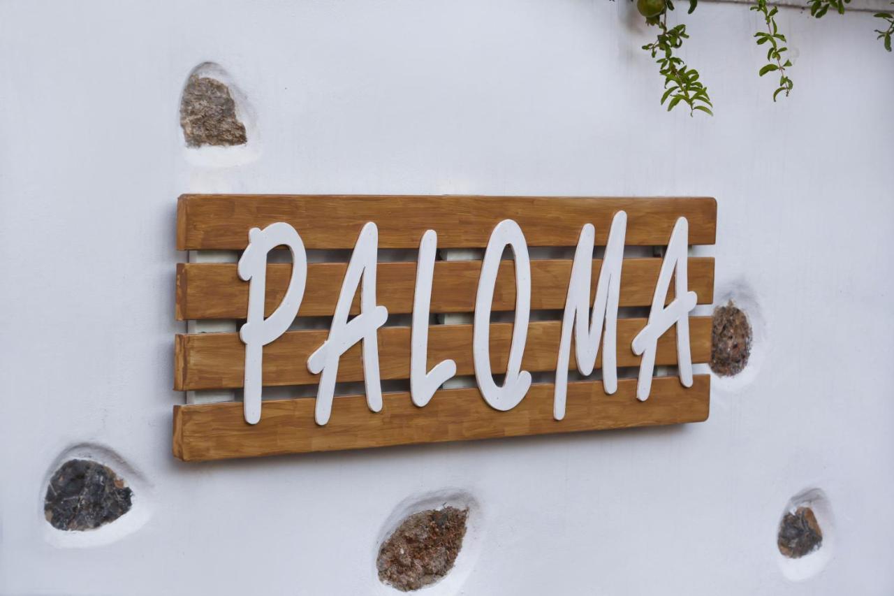 Paloma Luxury Studios Panormos  ภายนอก รูปภาพ